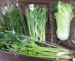 河南蔬菜包裝袋